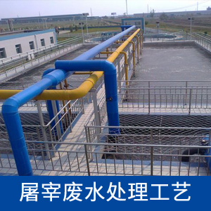 水質(zhì)分析儀表在食品加工污水處理上的應(yīng)用